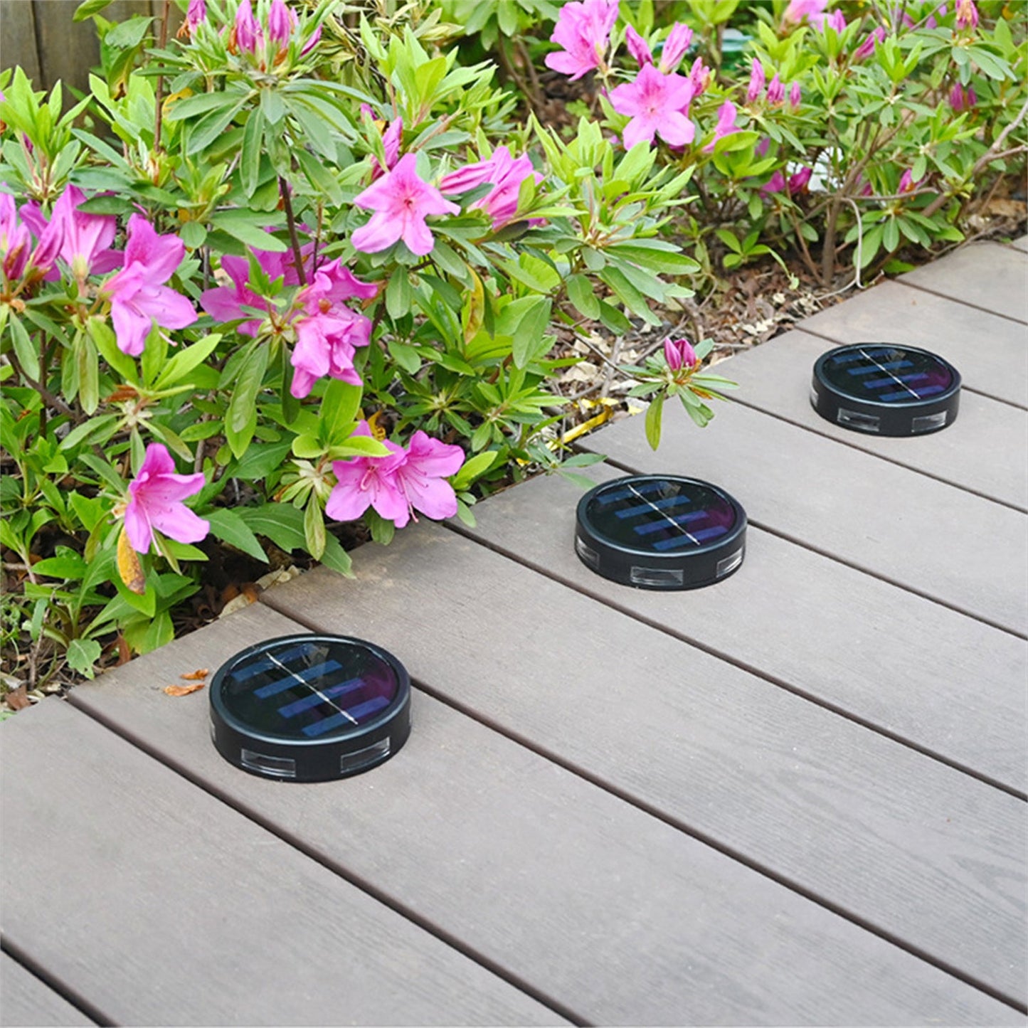 Solar Power Ground Lights - MONLANE