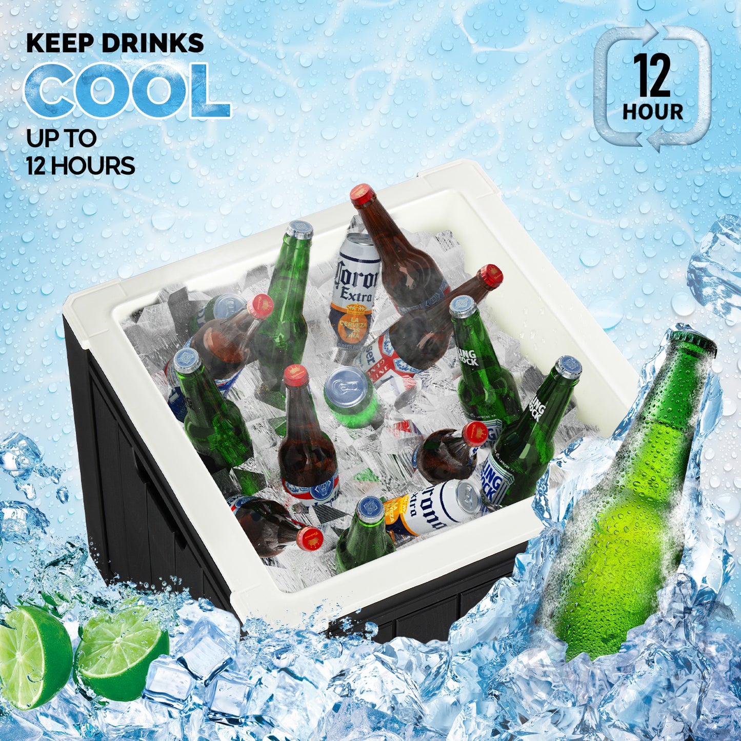Portable Ice Chest with Built-in Handle