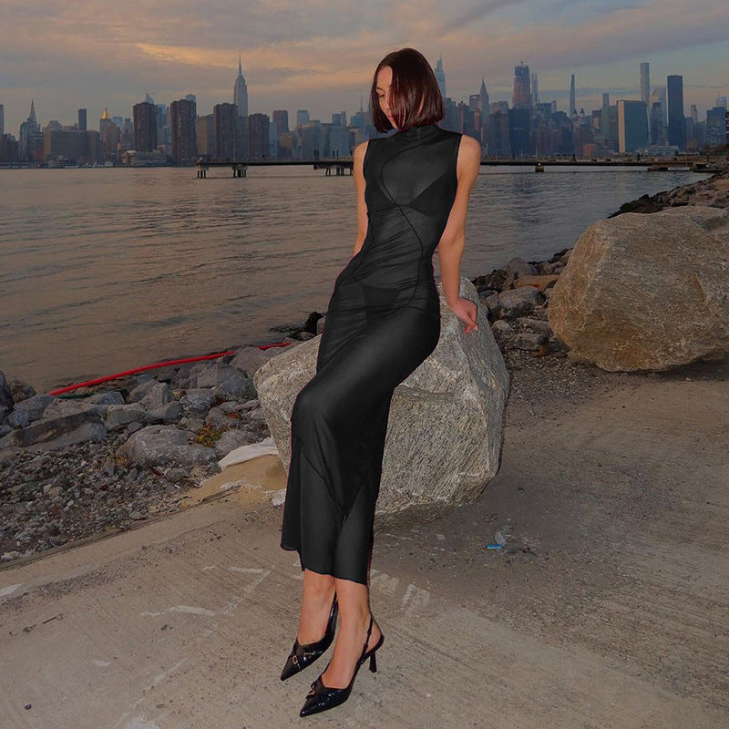 Perspective Hip Hugging Mesh Dress