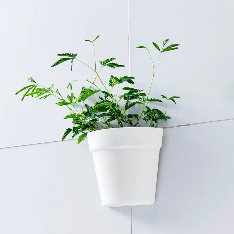 Wall Mounted Flowerpot