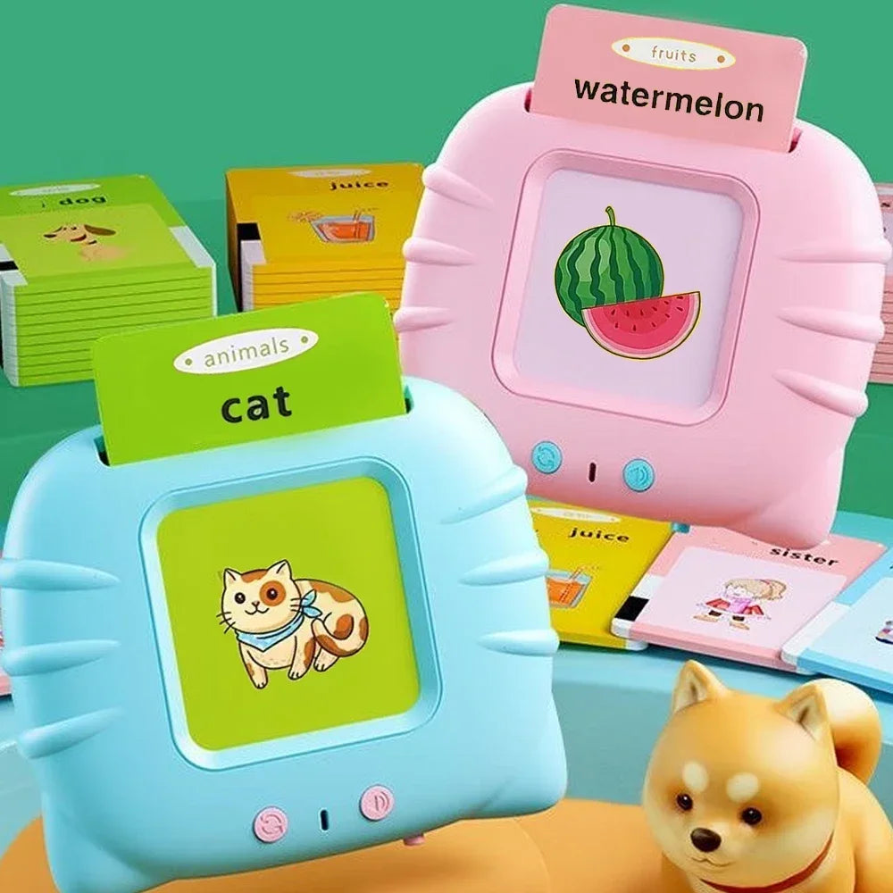 Talking Flashcards Electronic Audio Book