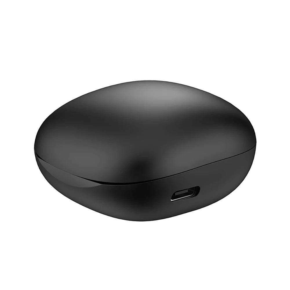 Voice Translator Earbuds VIDEO