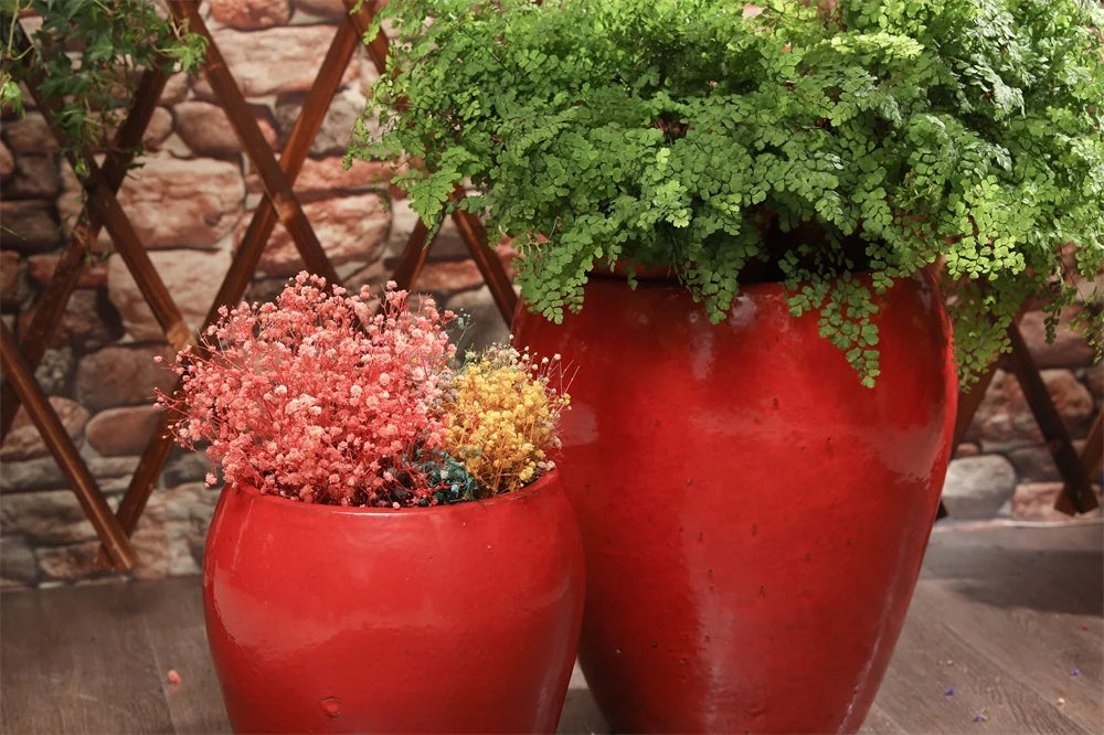 Indoor ceramic flower pots