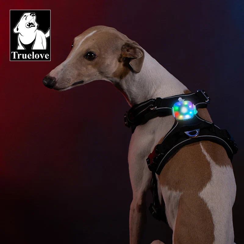 LED Light Pet Harness