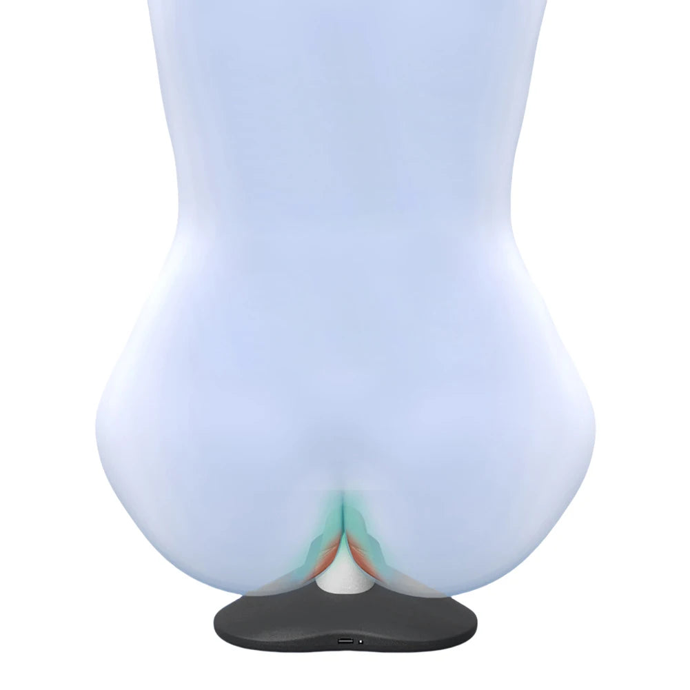 Pelvic Floor Muscle Trainer