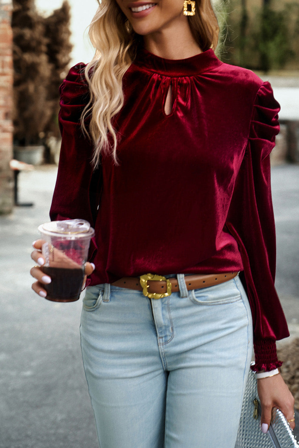 Velvet Long Sleeve Blouse