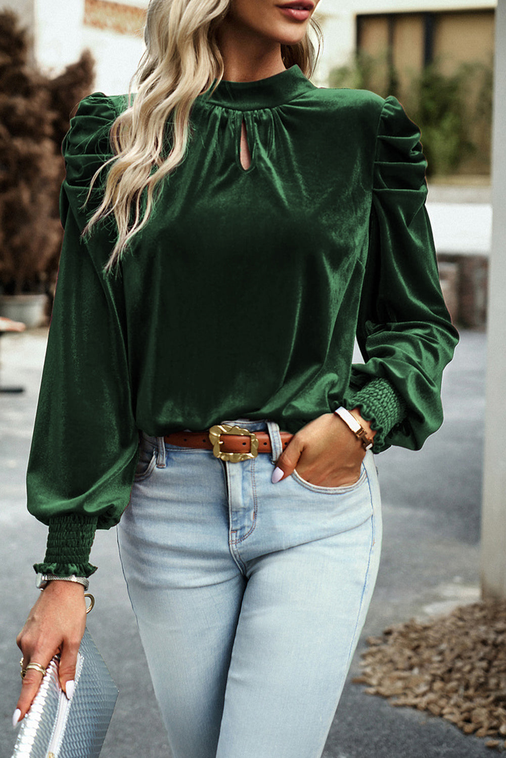 Velvet Long Sleeve Blouse