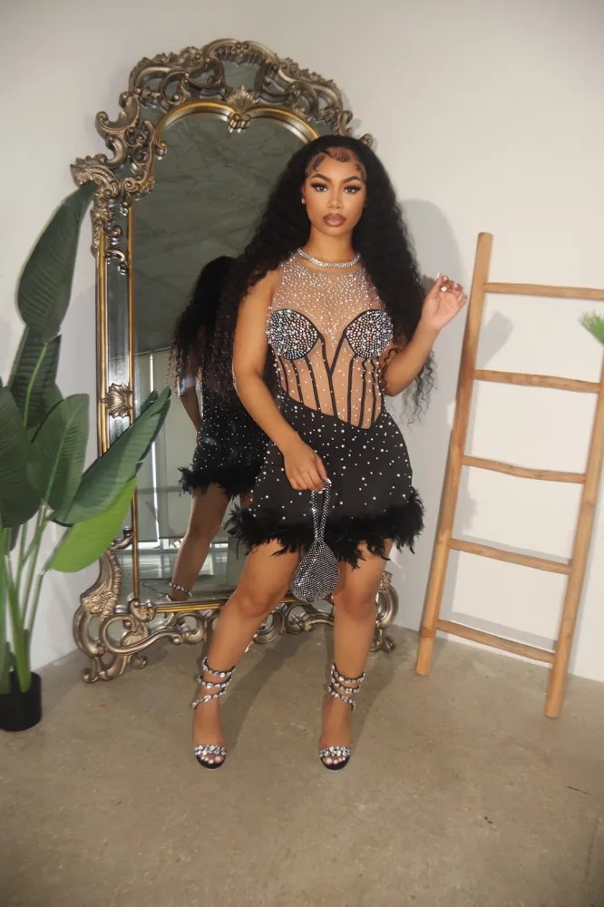 Sexy Mesh Diamond Studded Dress