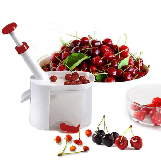 Fruit Core & Seed Remover