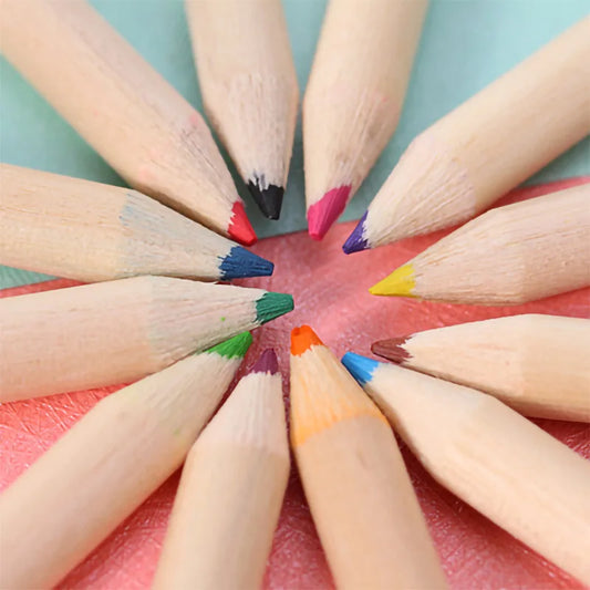 12 Color Pencil Crayon Set