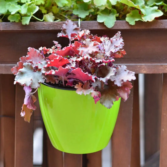 Self Watering Hanging Flower Pot