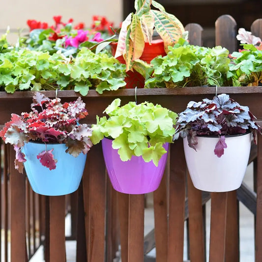 Self Watering Hanging Flower Pot