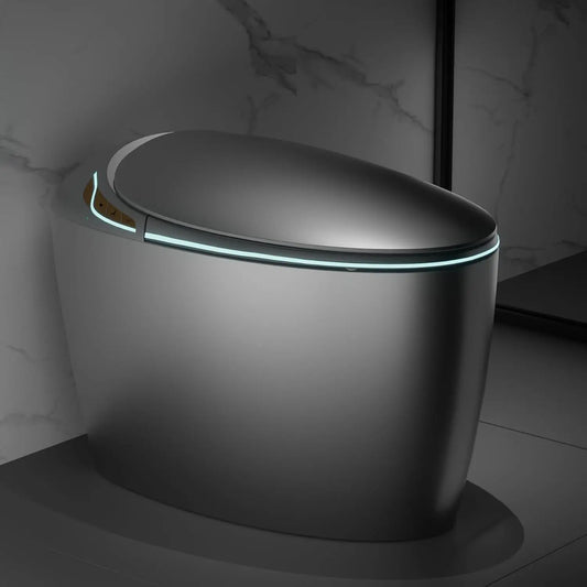 Luxury Smart Toilet With Bidet Seat