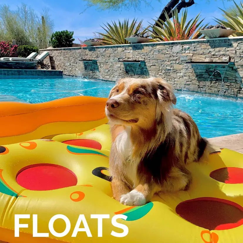 Inflatable Pizza Float