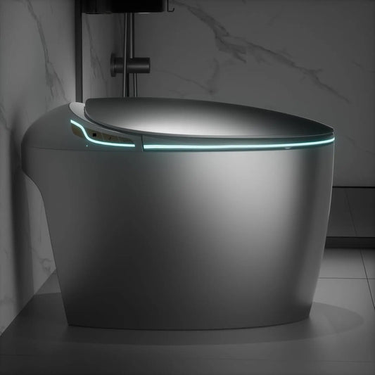 Luxury Smart Toilet With Bidet Seat
